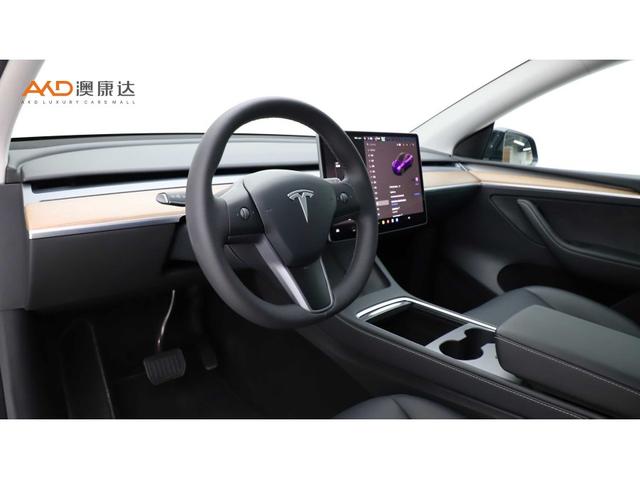 Tesla Model Y 2022 thumb 4