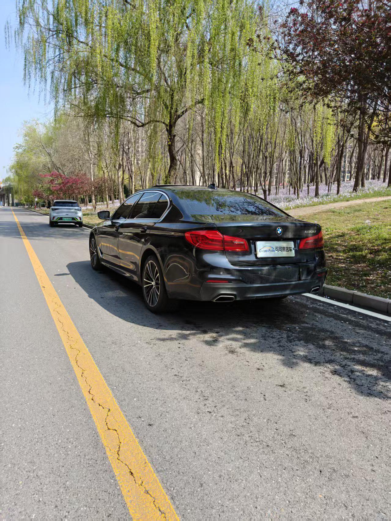 BMW 5 серии 2020 thumb 3