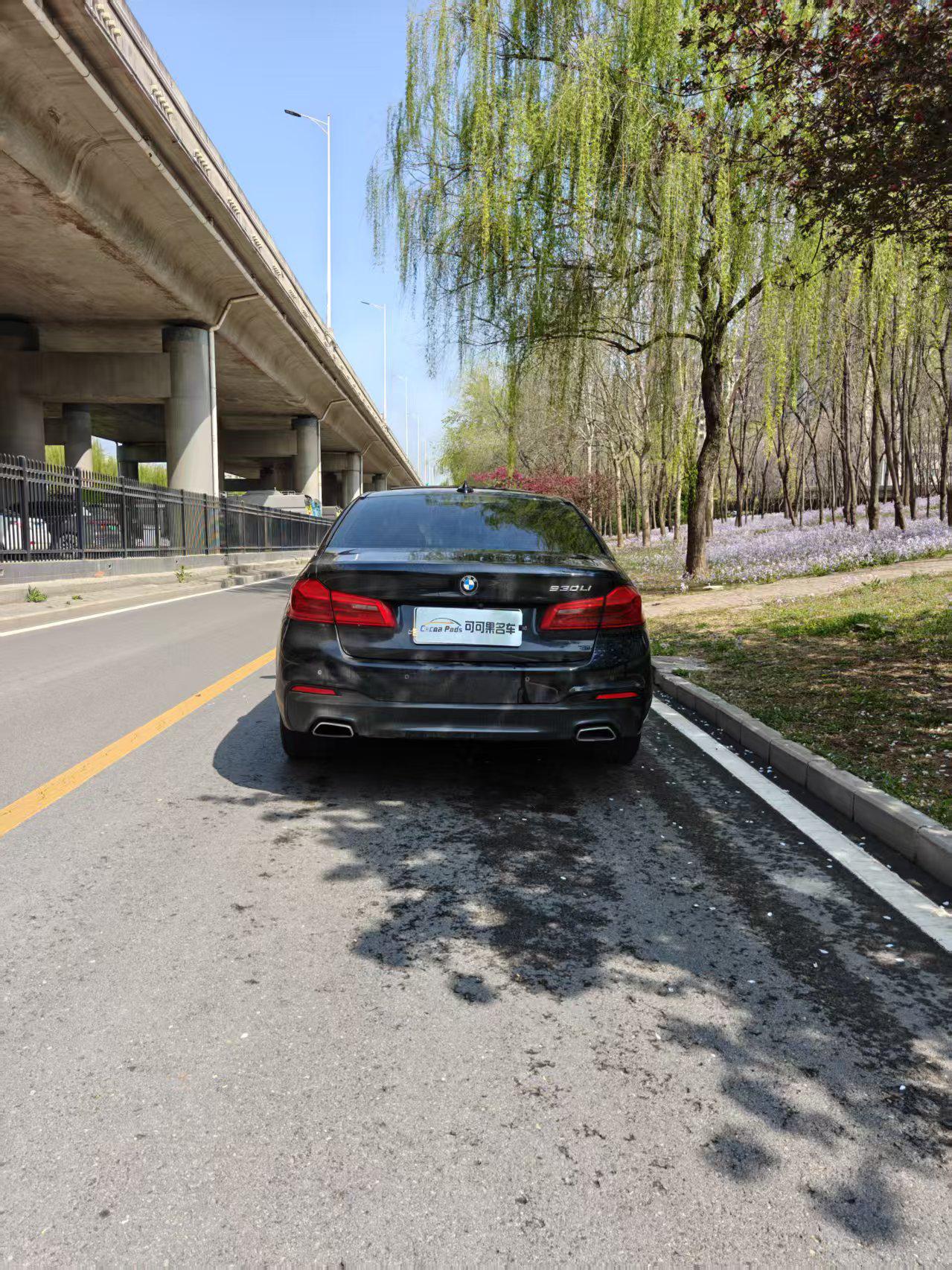 BMW 5 серии 2020 thumb 4
