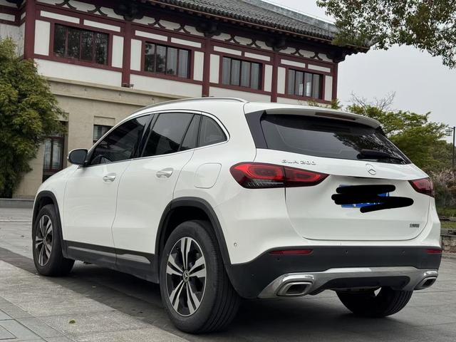 Mercedes-Benz GL 2020 thumb 2