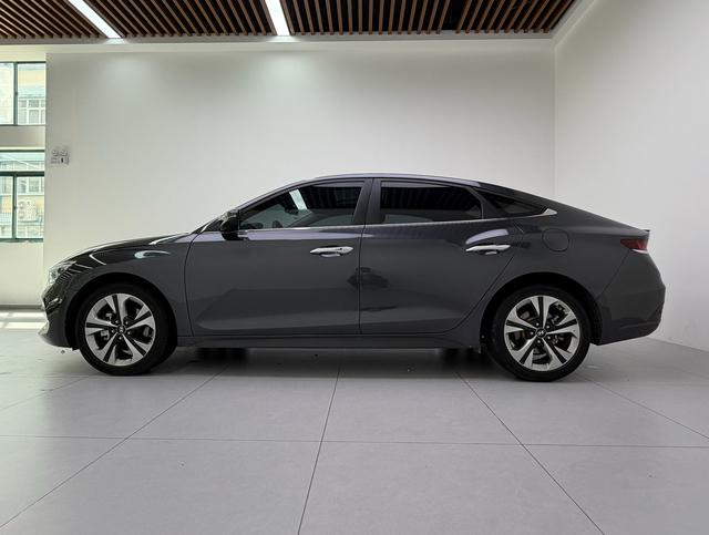 Hyundai Lafesta 2019 thumb 2