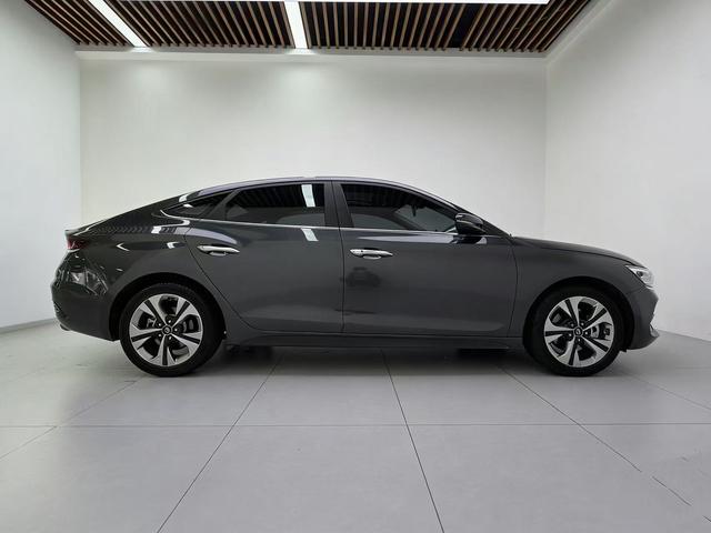 Hyundai Lafesta 2019 thumb 6
