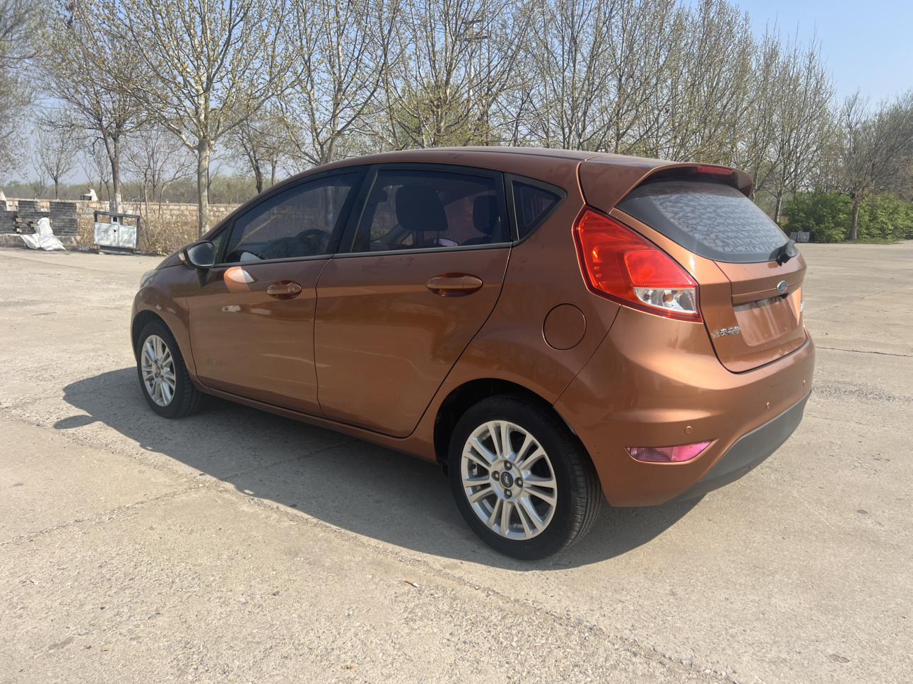Ford Jia Nian Hua 2013 thumb 2