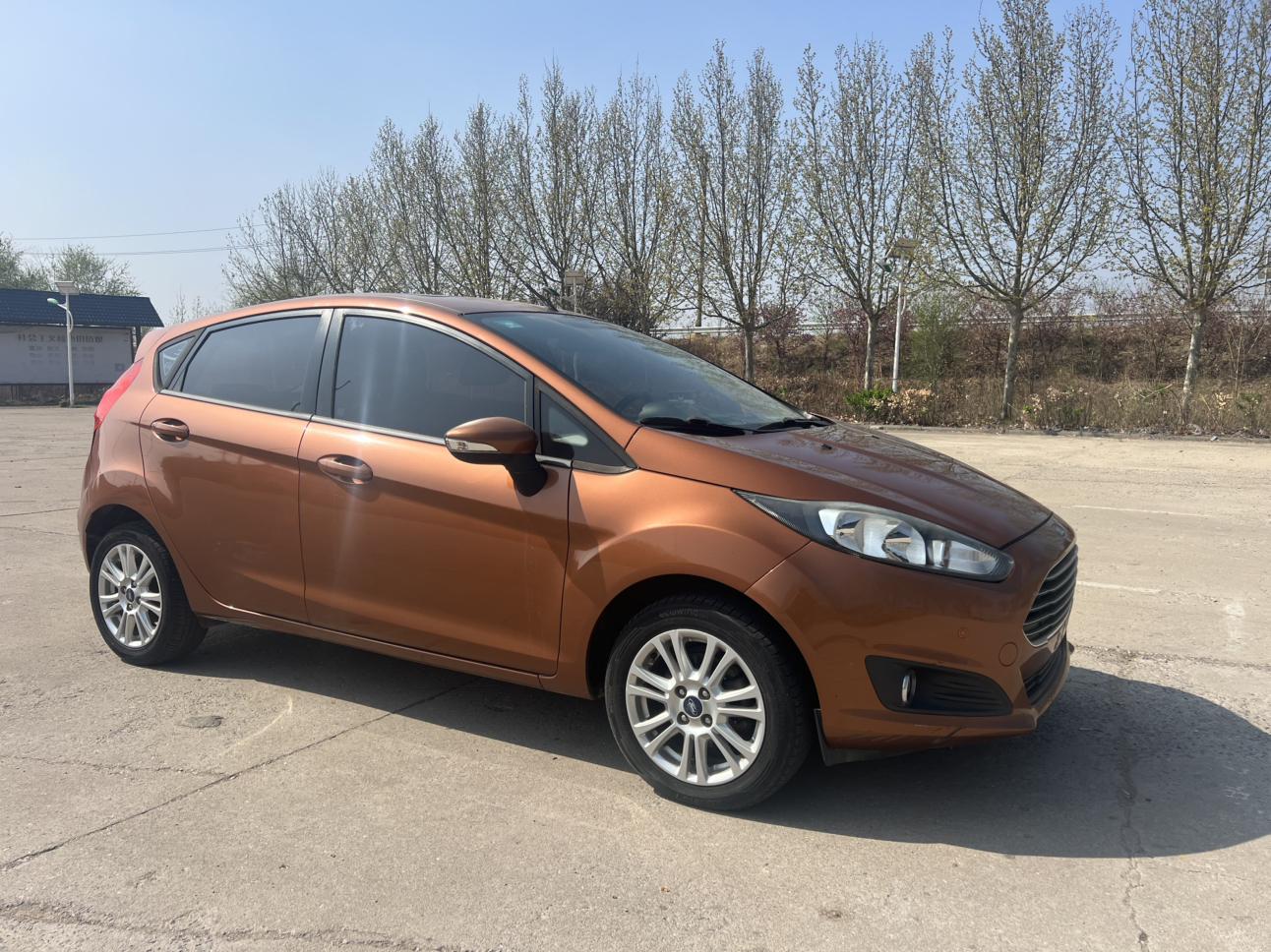 Ford Jia Nian Hua 2013 thumb 10