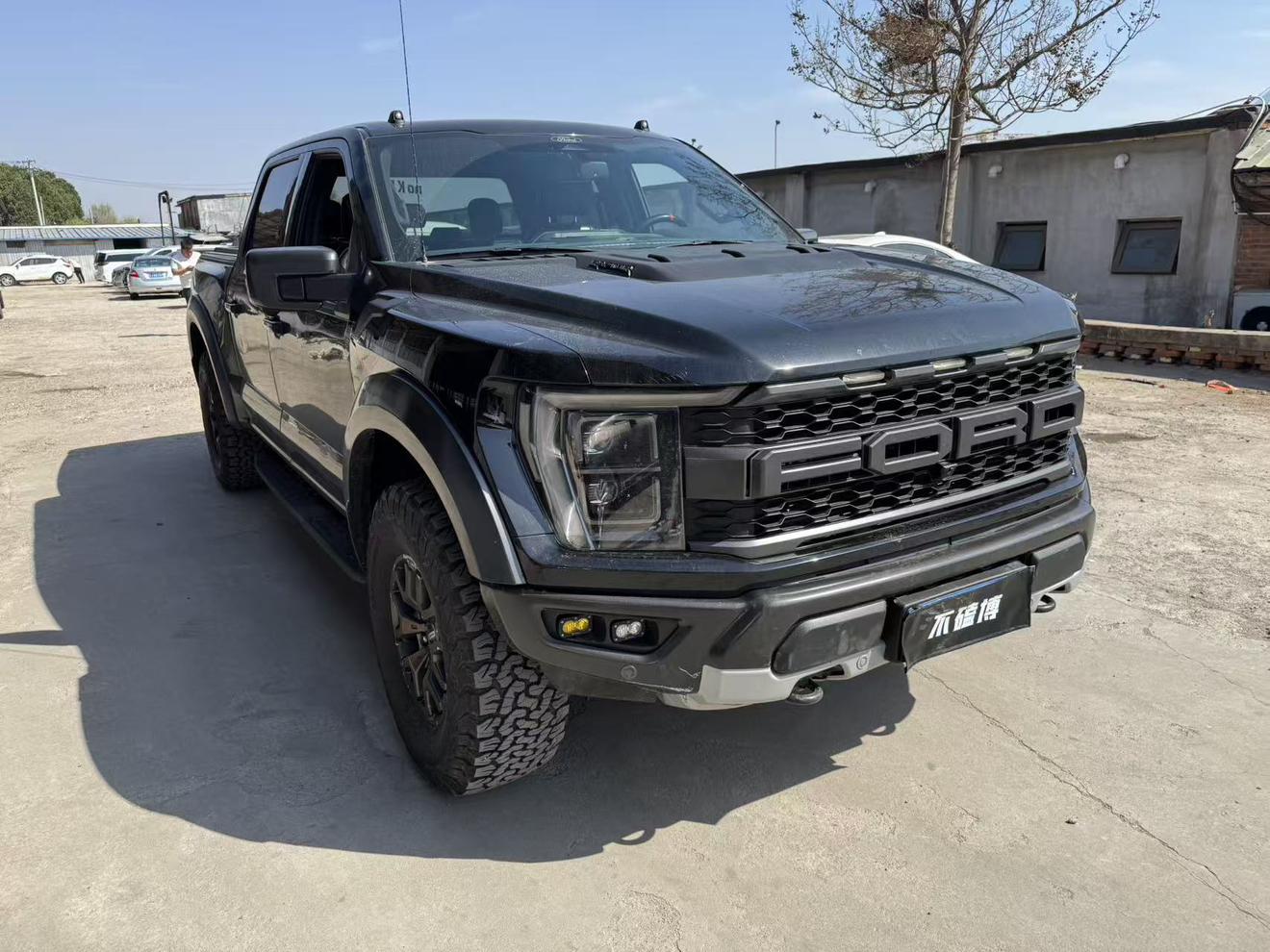 Ford F-150 2022 thumb 11