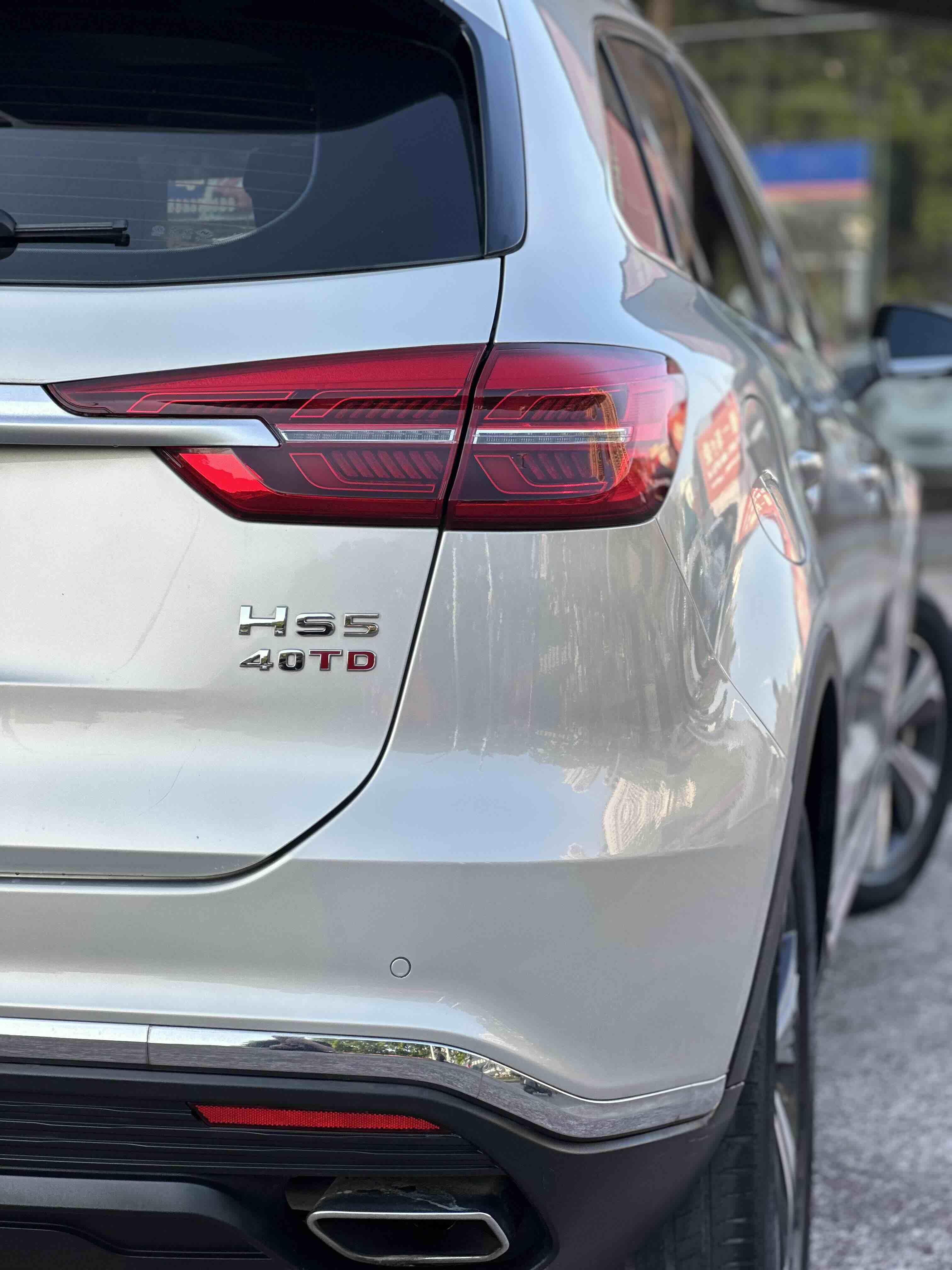 Hongqi HS5 2019 thumb 2
