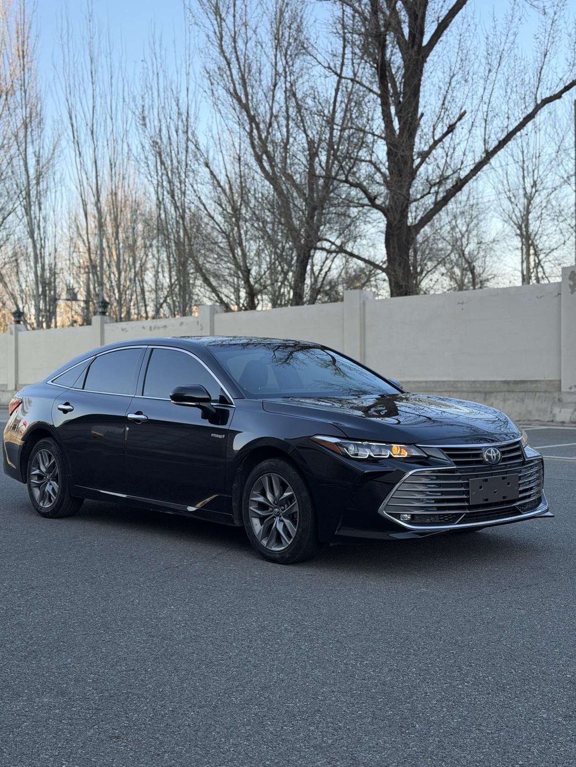 Toyota Avalon 2019 thumb 10