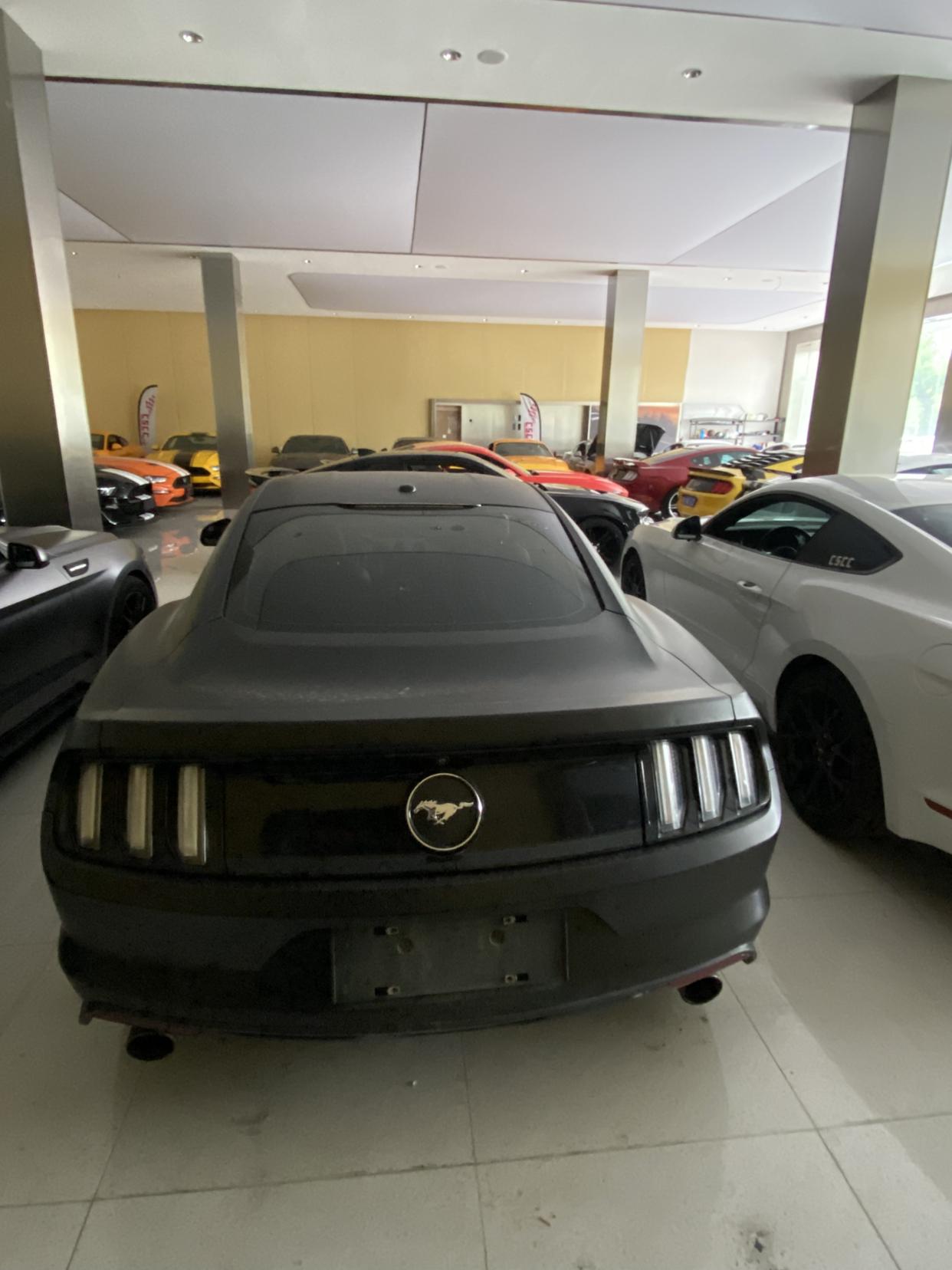 Ford Mustang Mach-E 2017 thumb 3