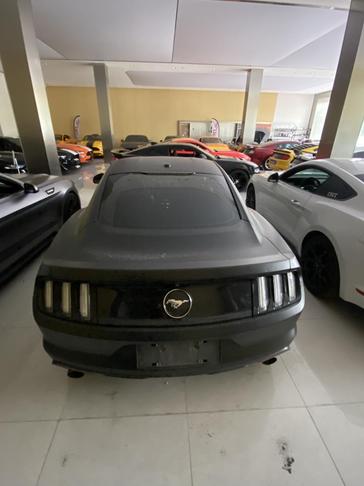 Ford Mustang Mach-E 2017 thumb 6