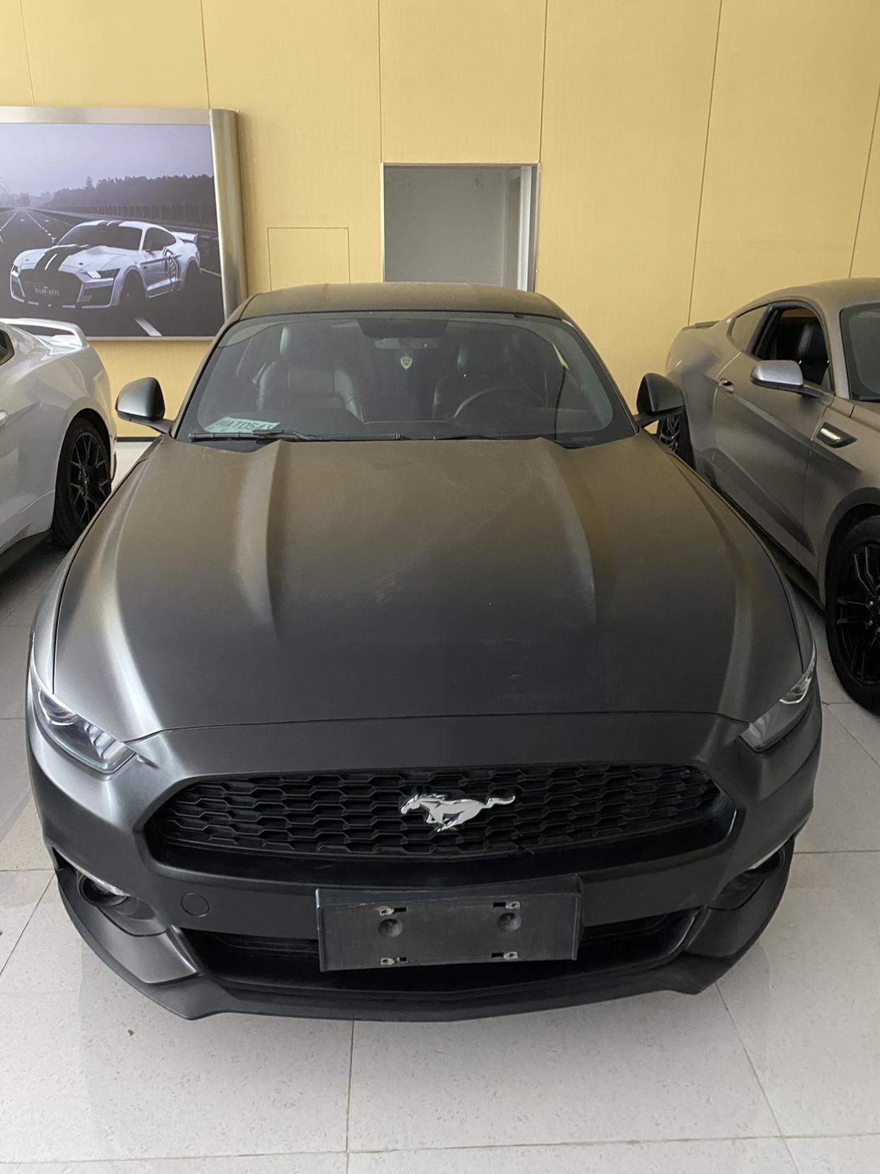 Ford Mustang Mach-E 2017 thumb 10