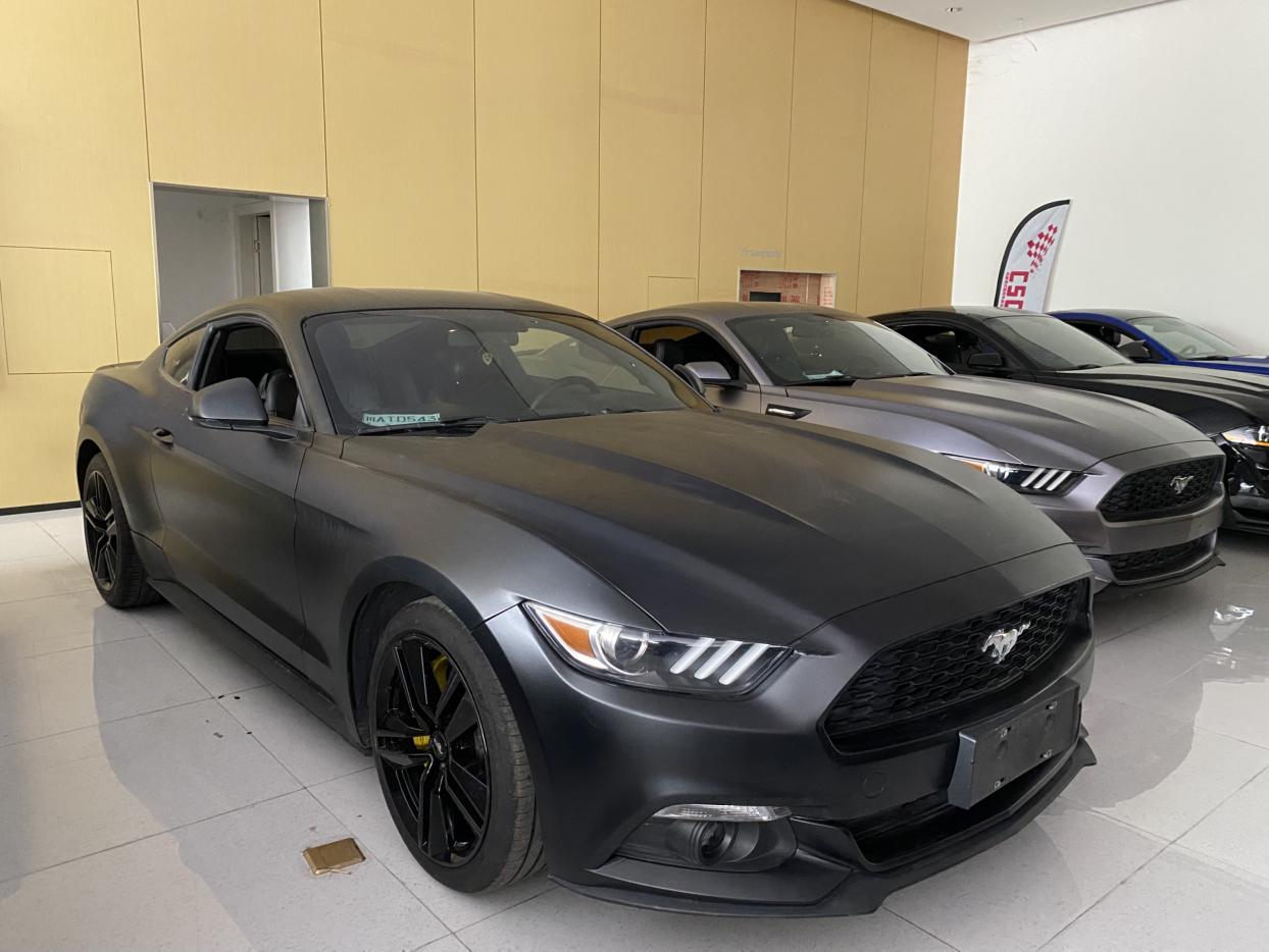 Ford Mustang Mach-E 2017 thumb 11
