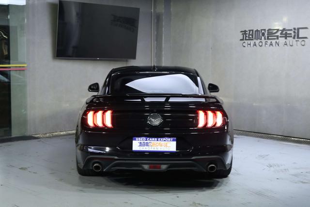 Ford Mustang Mach-E 2020 thumb 8