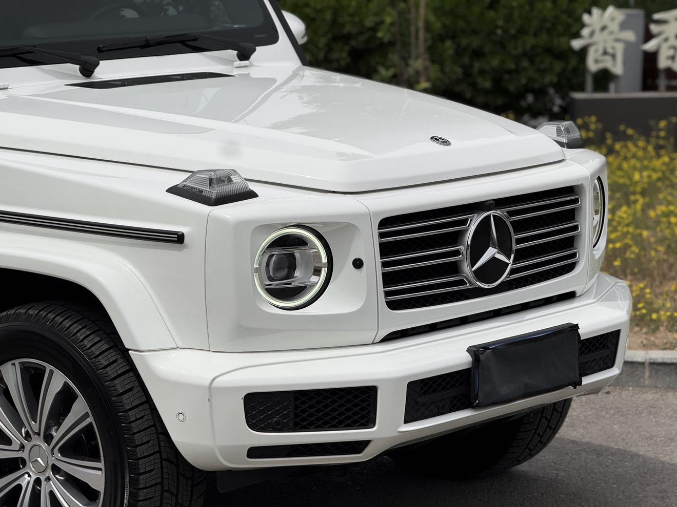Mercedes-Benz G-Класс 2019 thumb 9