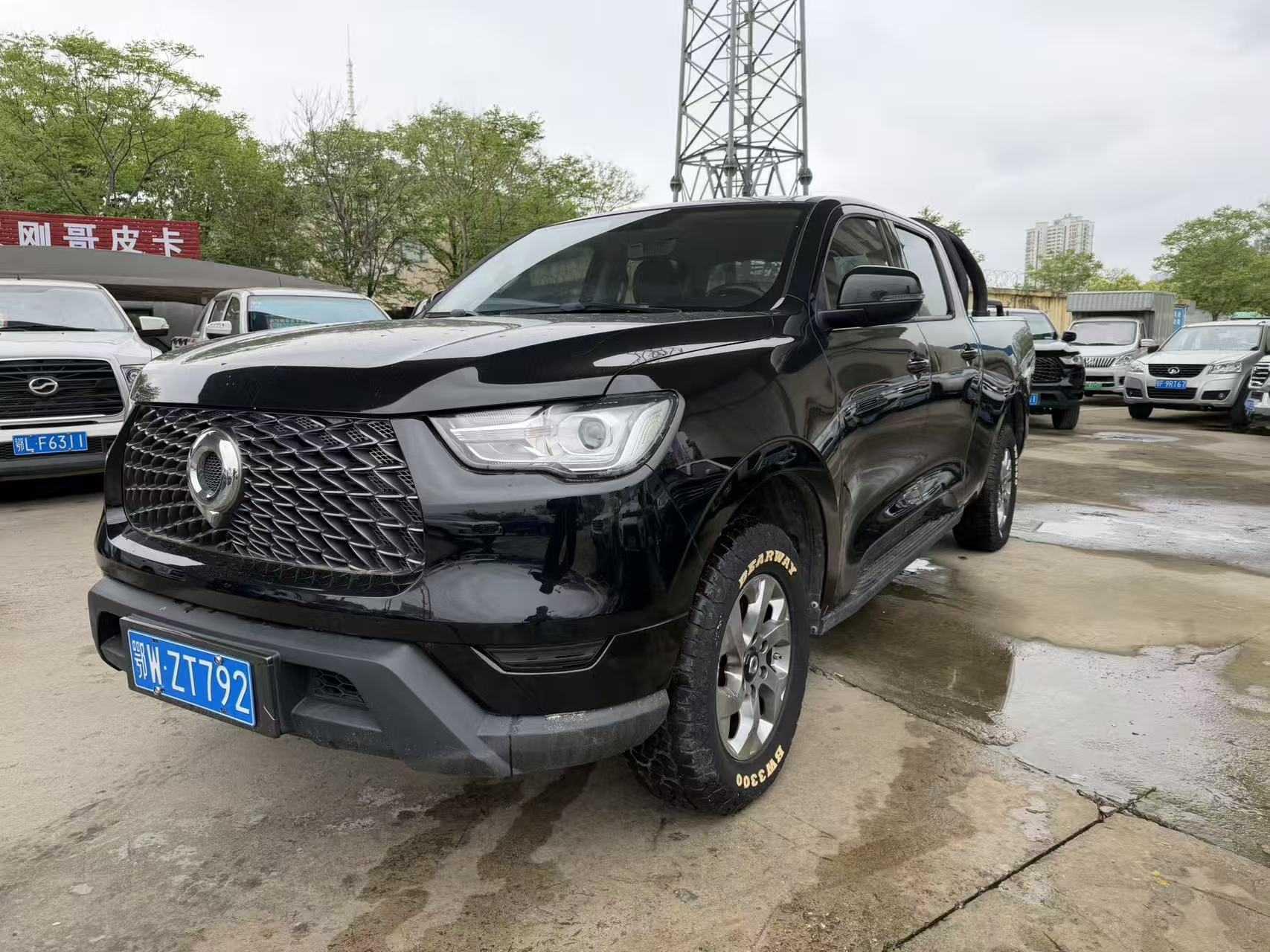 Great Wall Pao 2021 thumb 11
