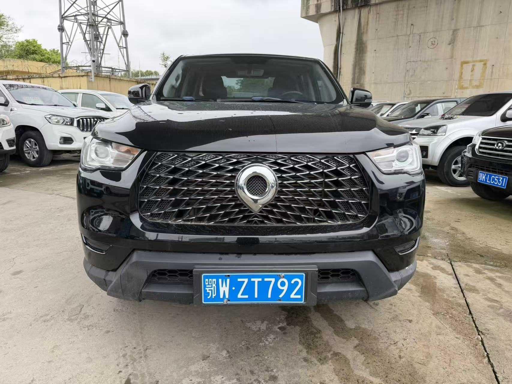 Great Wall Pao 2021 thumb 12