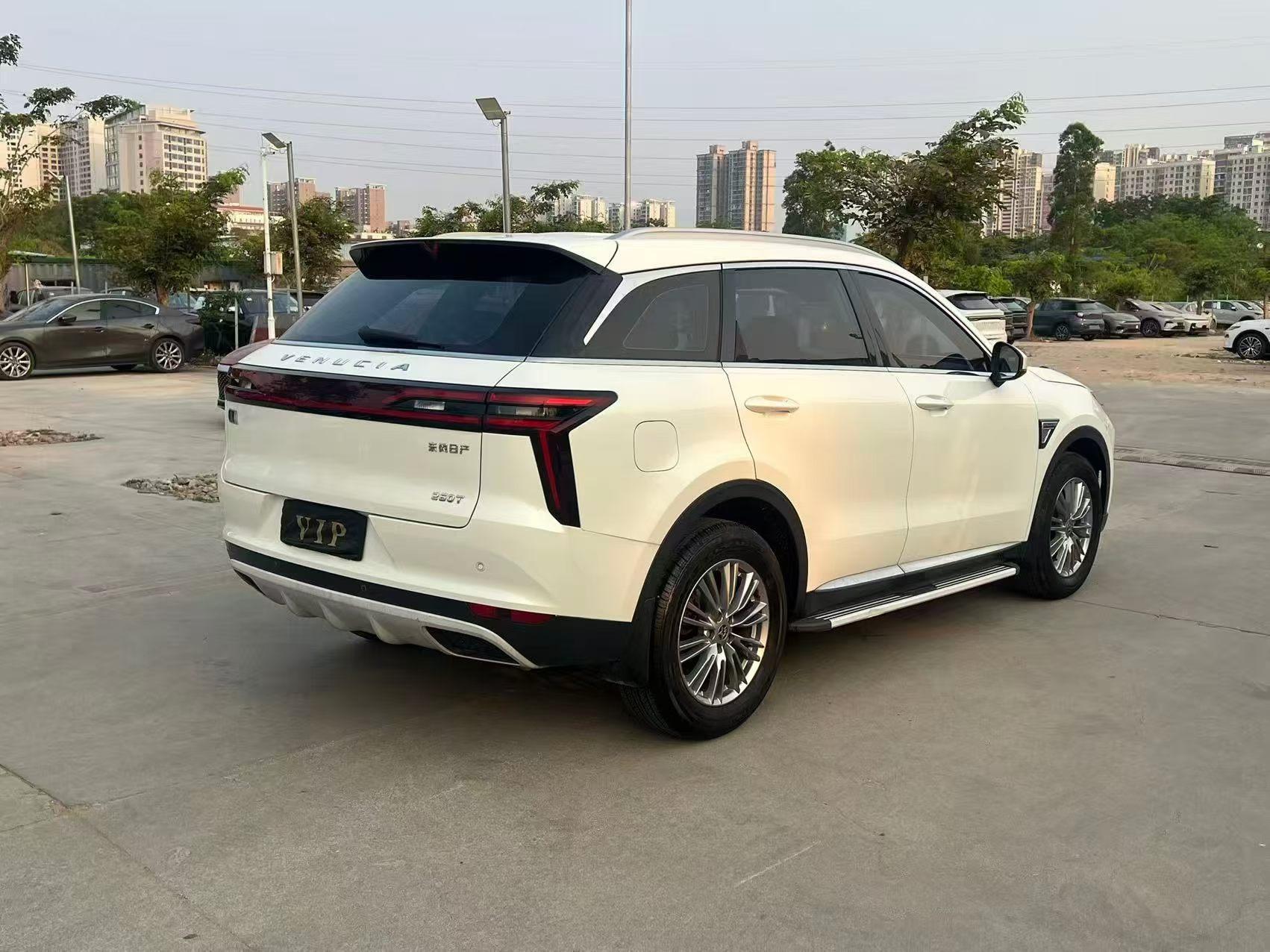 Venucia Qi Chen Xing 2022 thumb 4