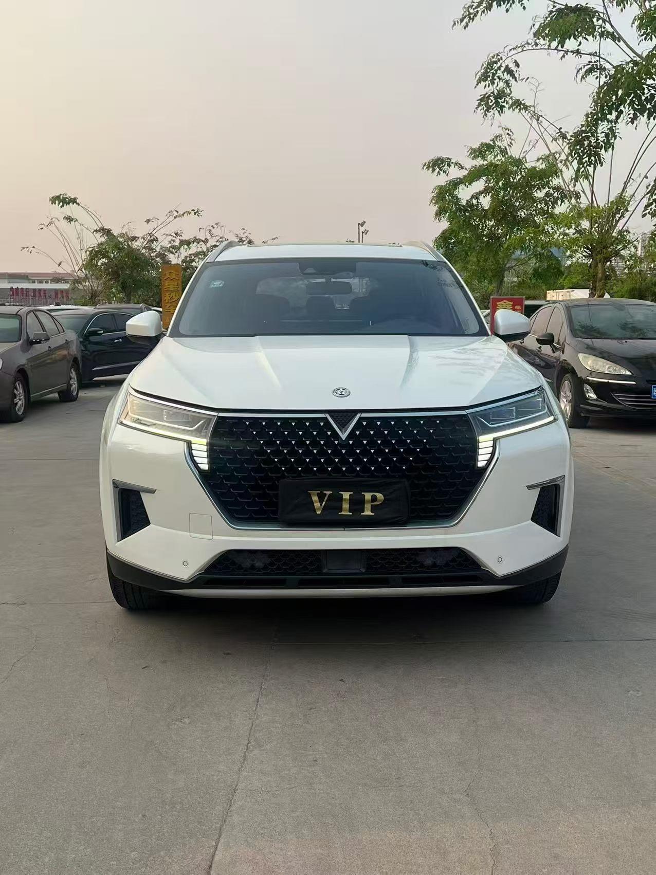Venucia Qi Chen Xing 2022 thumb 9