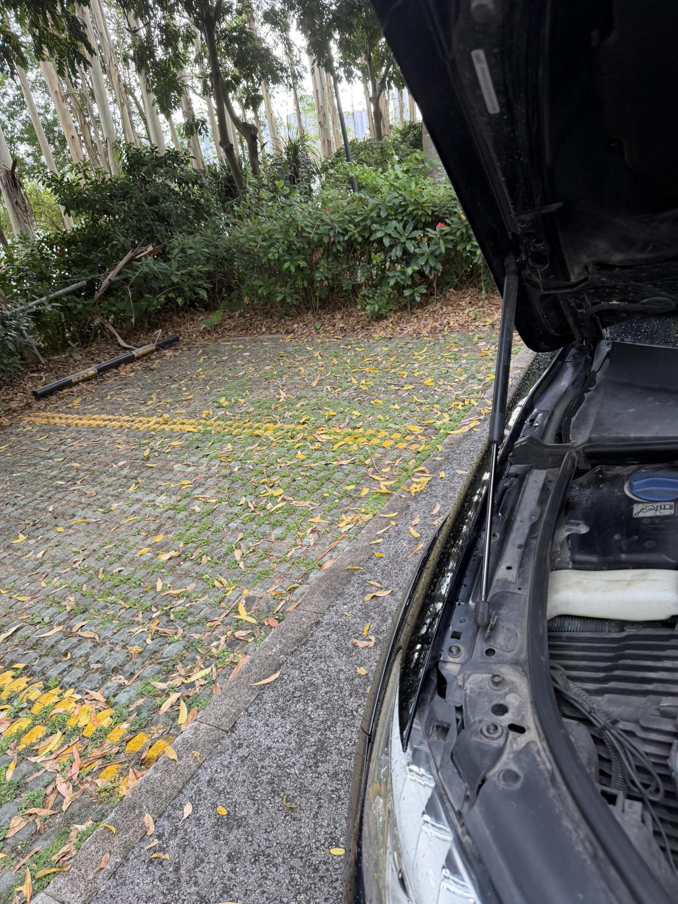 Audi Q7 2014 thumb 11