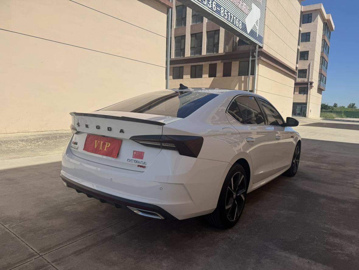 Skoda Ming Rui 2023 thumb 4