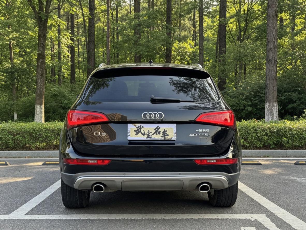 Audi Q5 2017 thumb 2