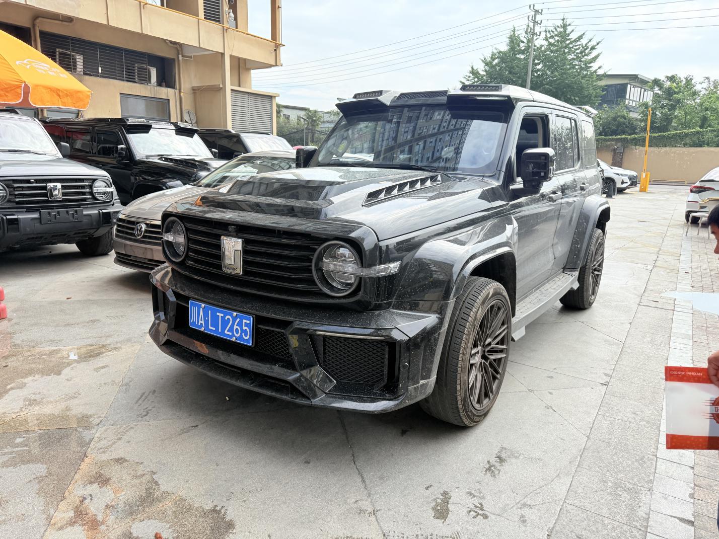 Tank 300 2021 thumb 11