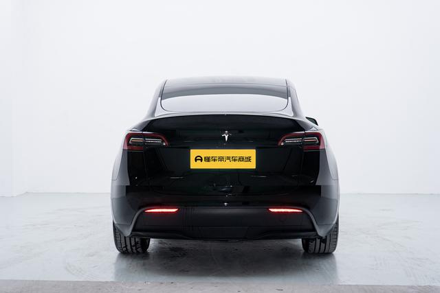 Tesla Model Y 2022 thumb 4