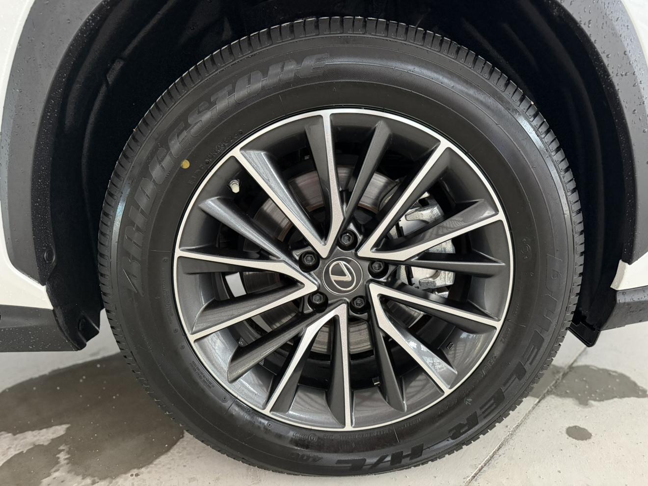 Lexus NX 2022 thumb 5