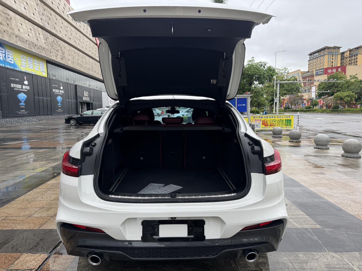 BMW X4 2019 thumb 10