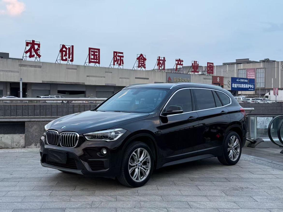 BMW X1 2019 thumb 10