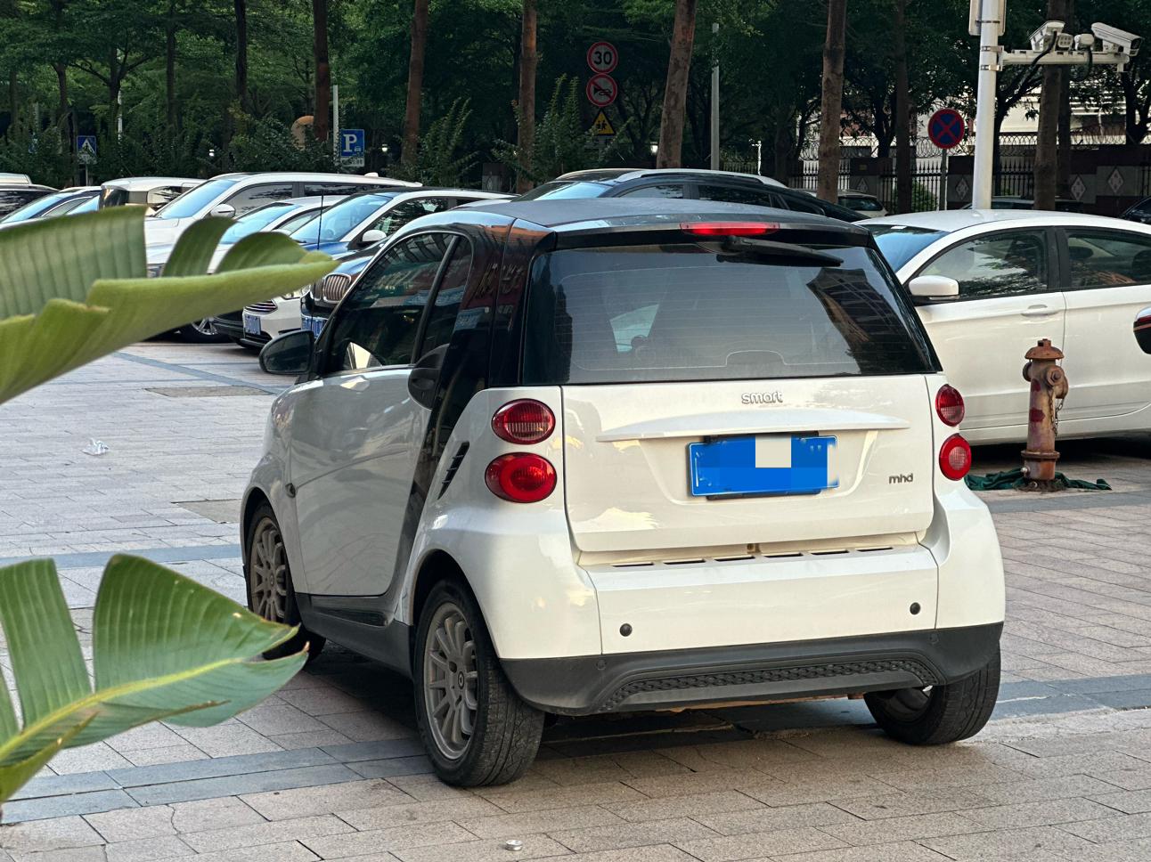 Smart Fortwo 2013 thumb 2