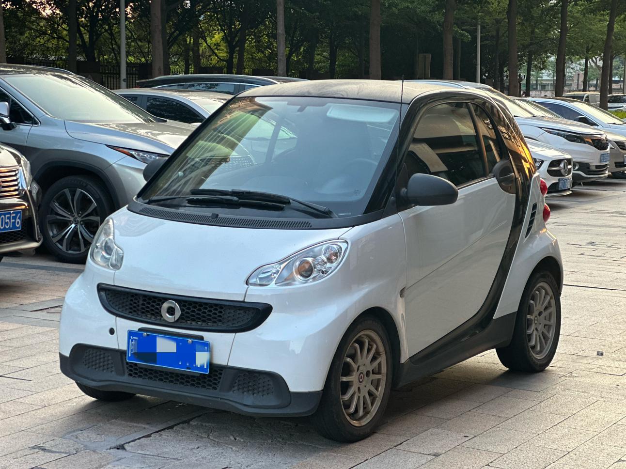 Smart Fortwo 2013 thumb 10