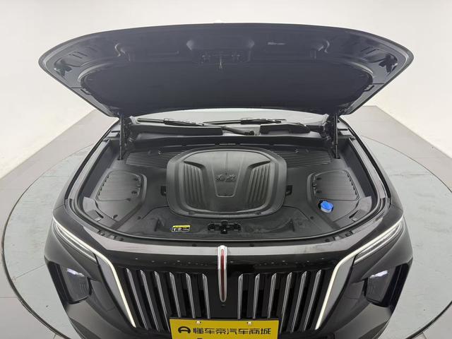 Hongqi E-HS9 2022 thumb 8