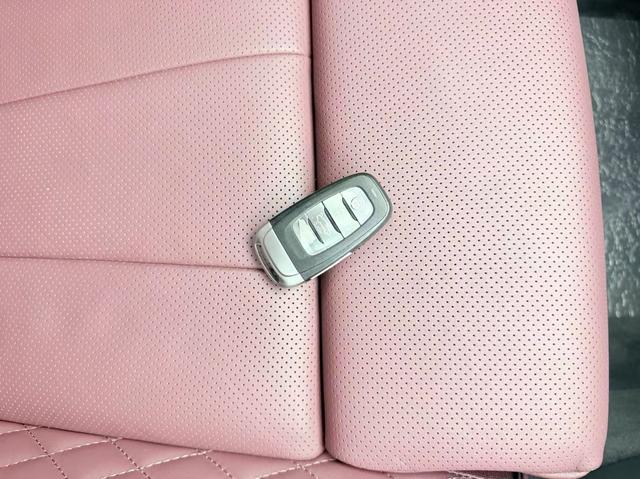 Hongqi E-HS9 2022 thumb 9