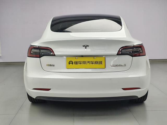 Tesla Model 3 2021 thumb 4