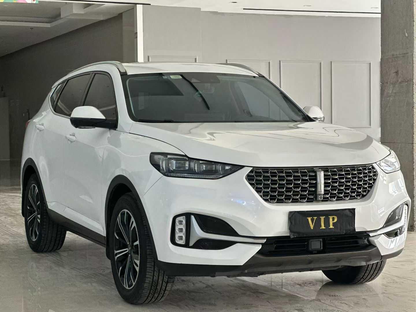 Wey VV6 2021 thumb 10