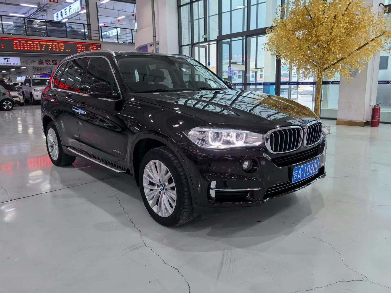 BMW X5 2017 thumb 10