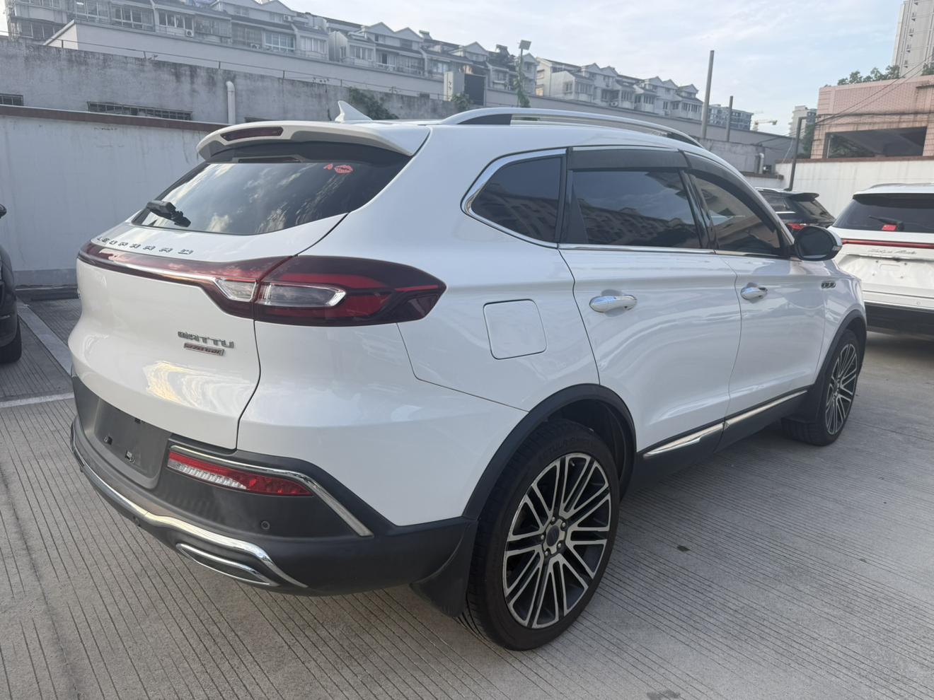 Leopaard Mattu 2018 thumb 3