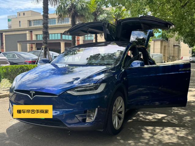 Tesla Model X 2019 thumb 6