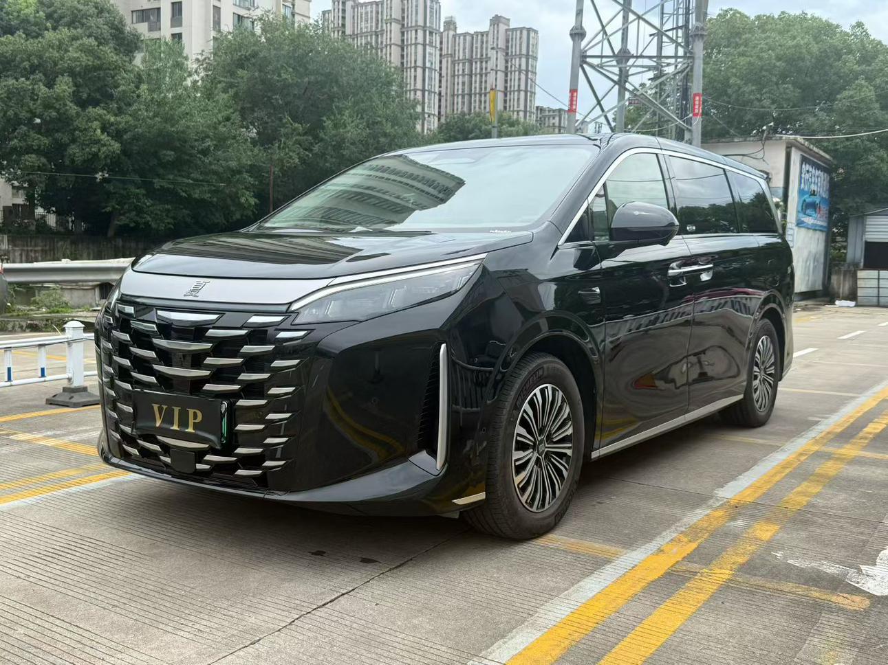 BYD Xia (M9) 2025 thumb 8
