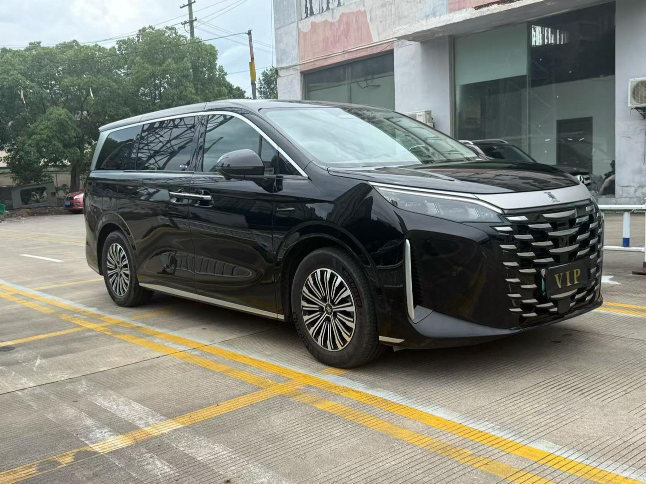 BYD Xia (M9) 2025 thumb 10
