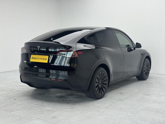 Tesla Model Y 2024 thumb 5