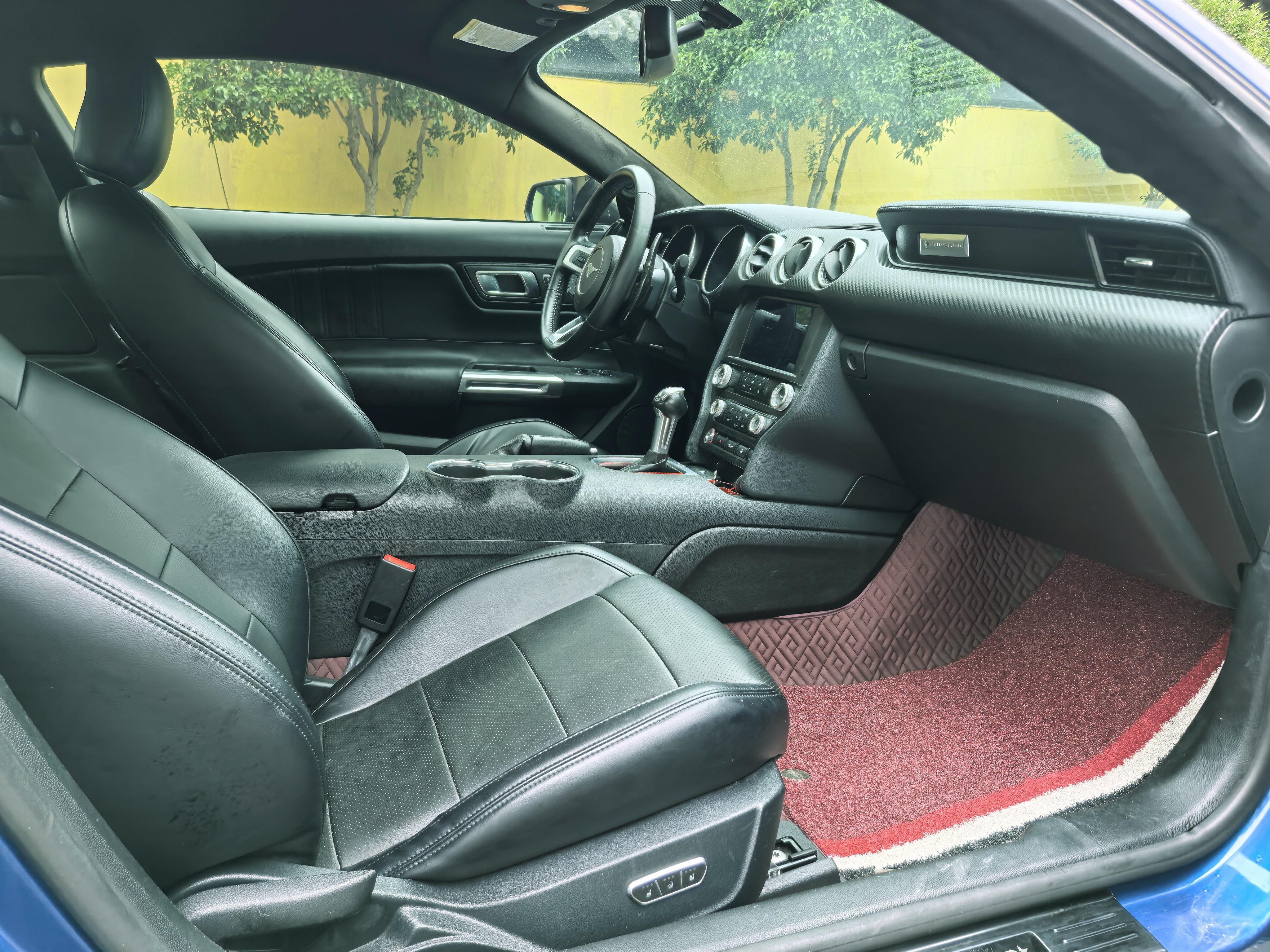 Ford Mustang Mach-E 2020 thumb 5