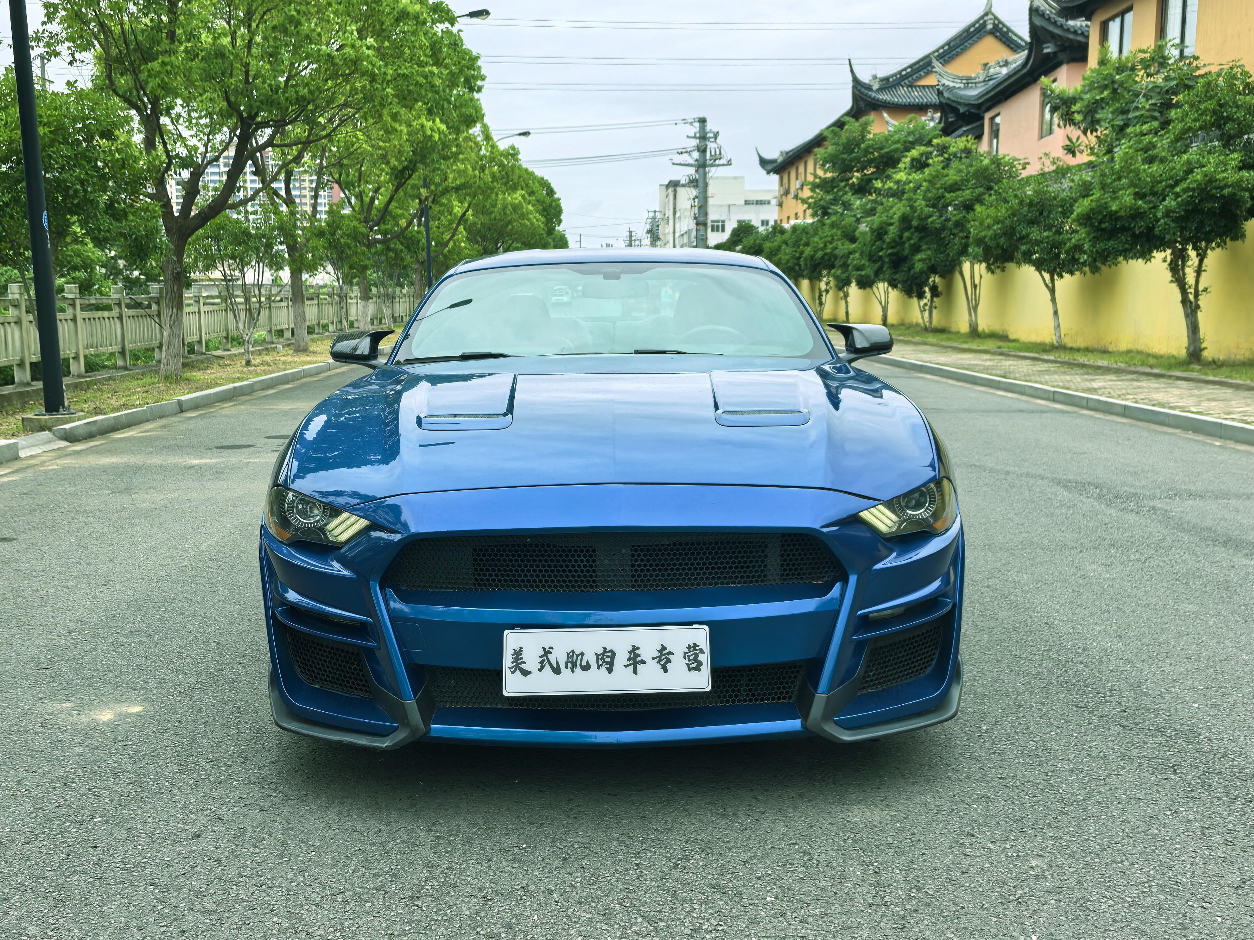 Ford Mustang Mach-E 2020 thumb 9