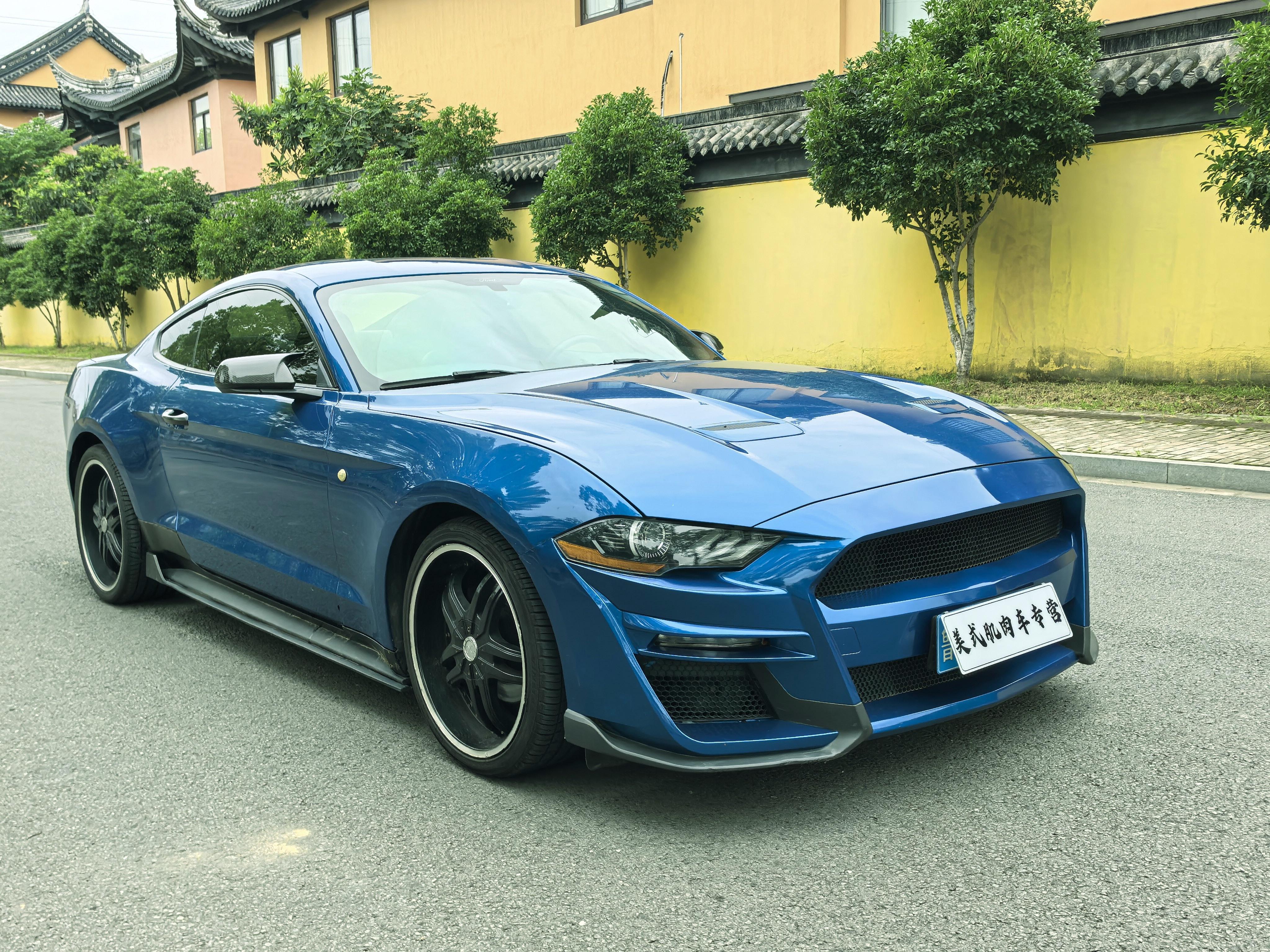 Ford Mustang Mach-E 2020 thumb 10