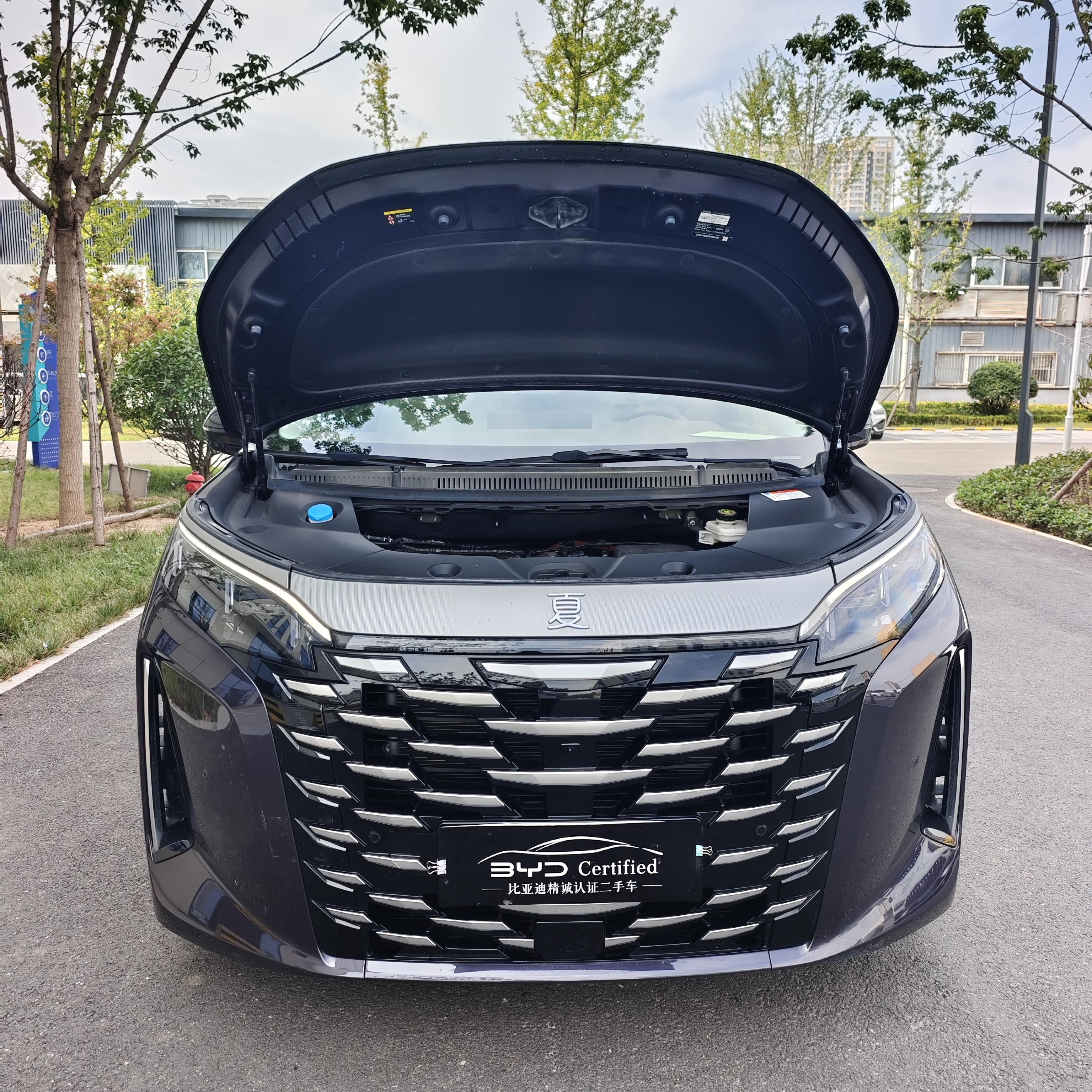 BYD Xia (M9) 2025 thumb 5