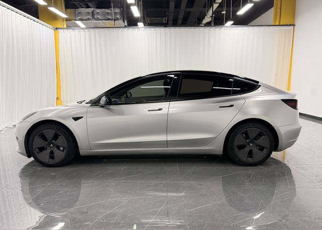 Tesla Model 3 2021 thumb 2