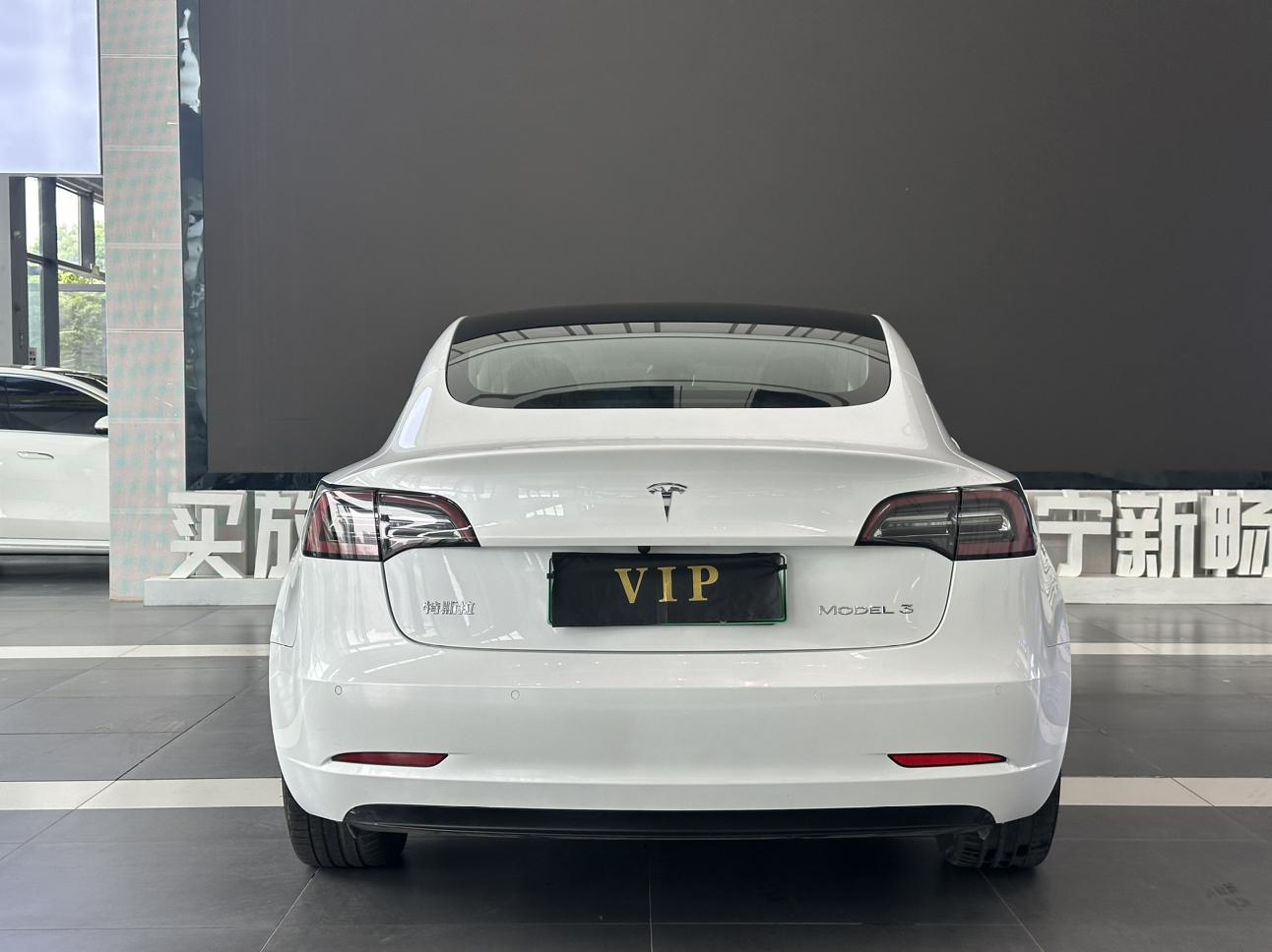 Tesla Model 3 2020 thumb 4