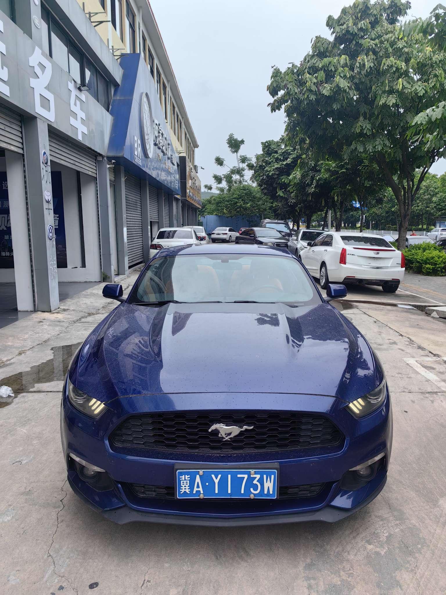 Ford Mustang Mach-E 2017 thumb 10