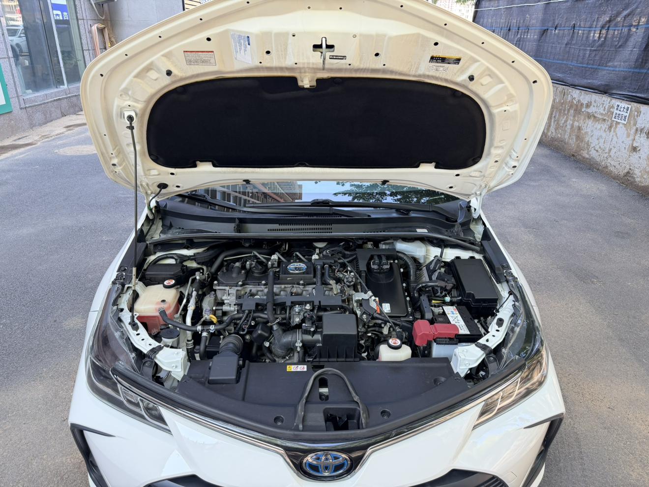 Toyota Corolla Rumion 2019 thumb 7