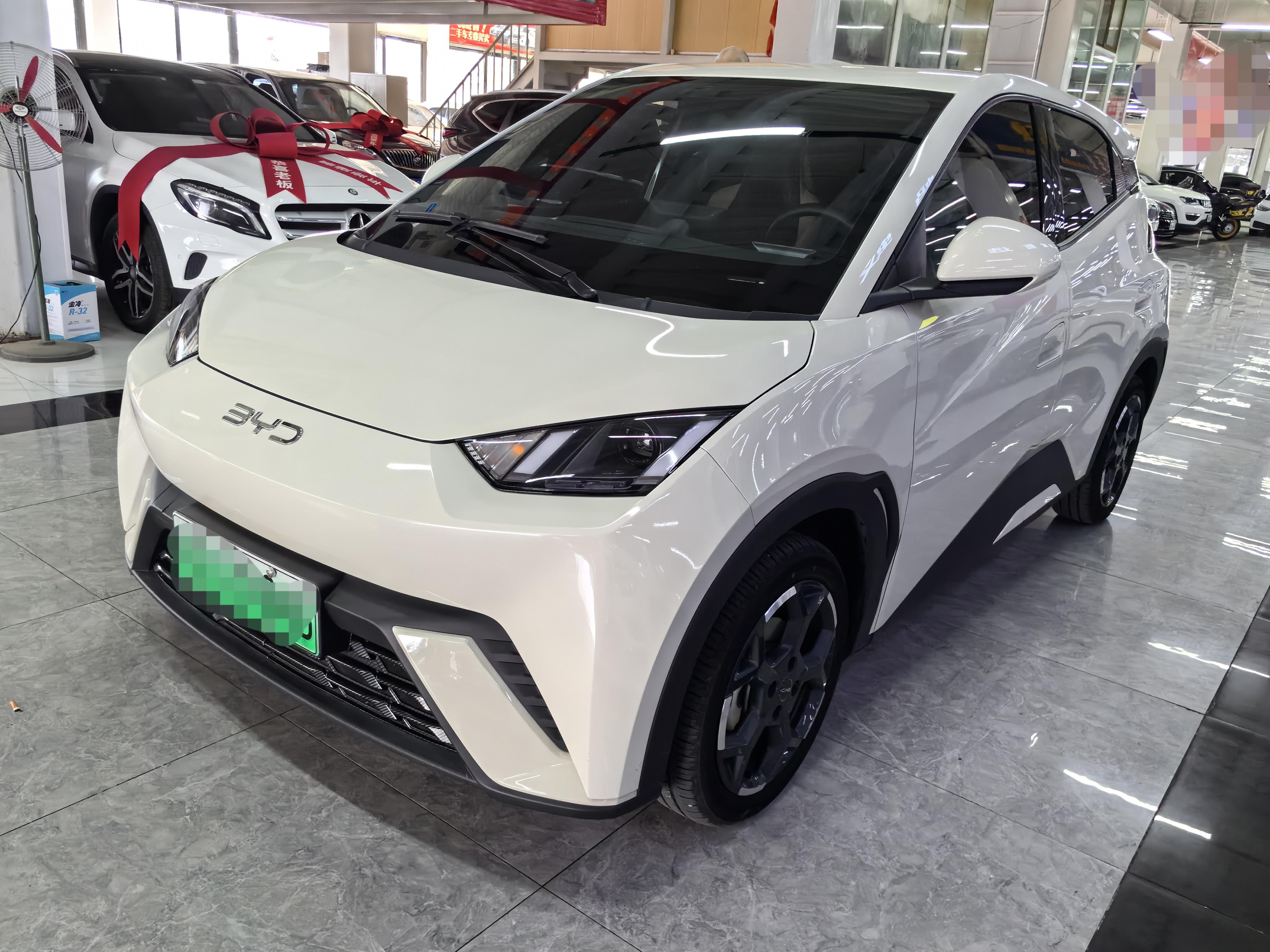 BYD Seagull 2024 thumb 10